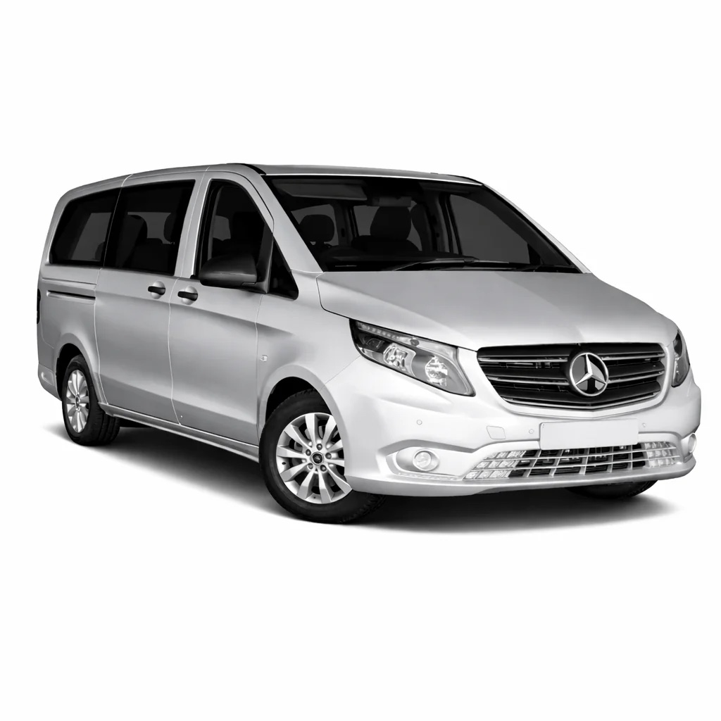 Private Minivan